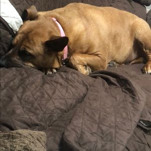 Meet your Posher, Nick